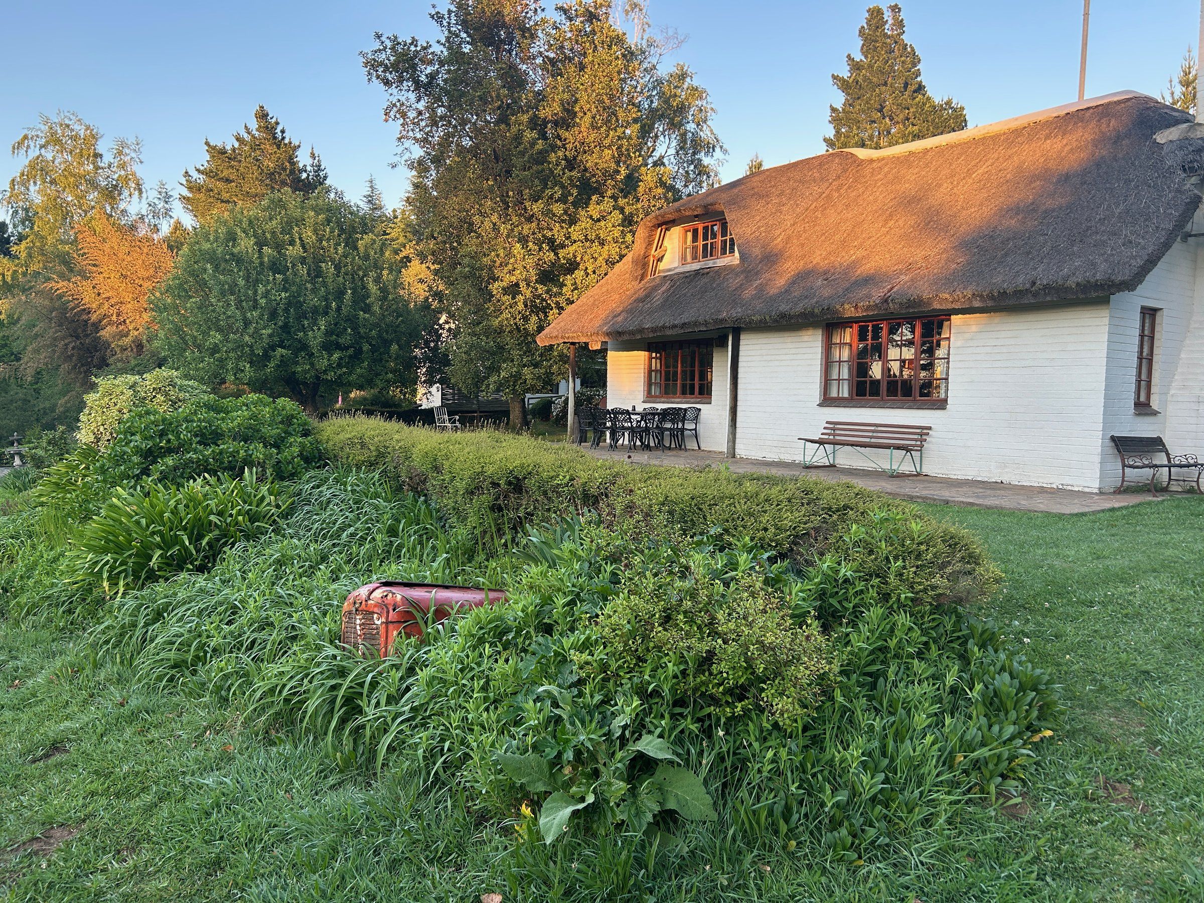 De-vine View's thatch and white walls in early-morning light, with benches on the terrace
