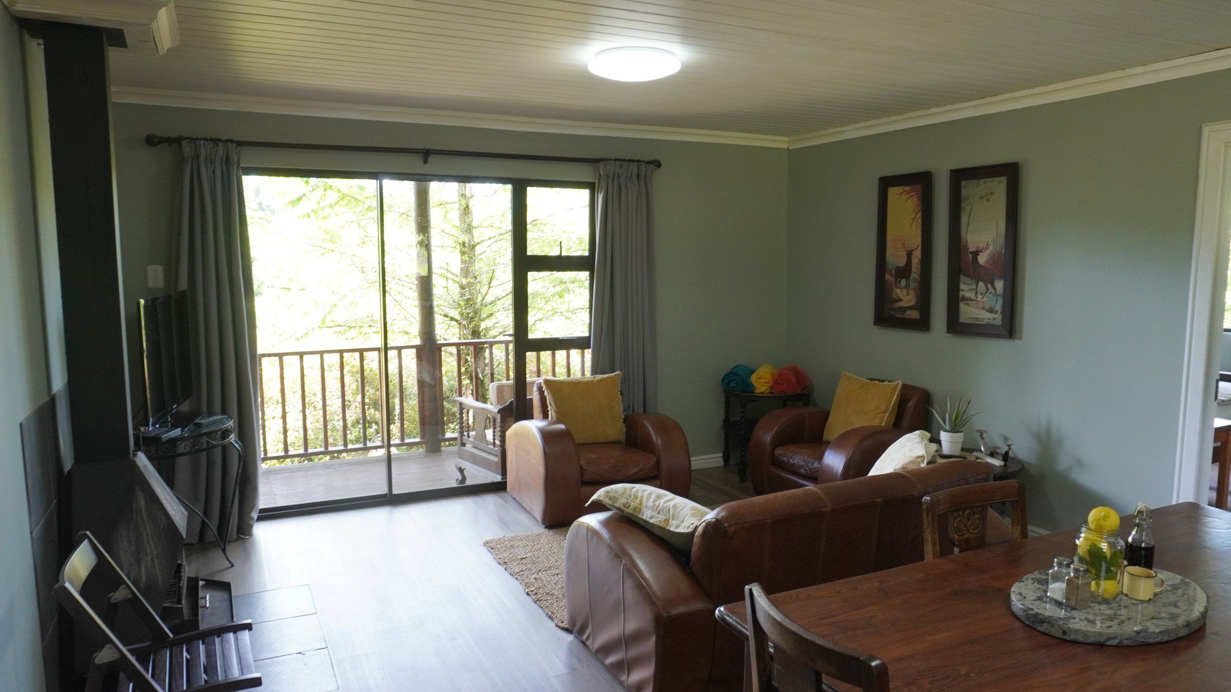 EverGreen Lodge's lounge opening through sliding doors onto the verandah and the trees