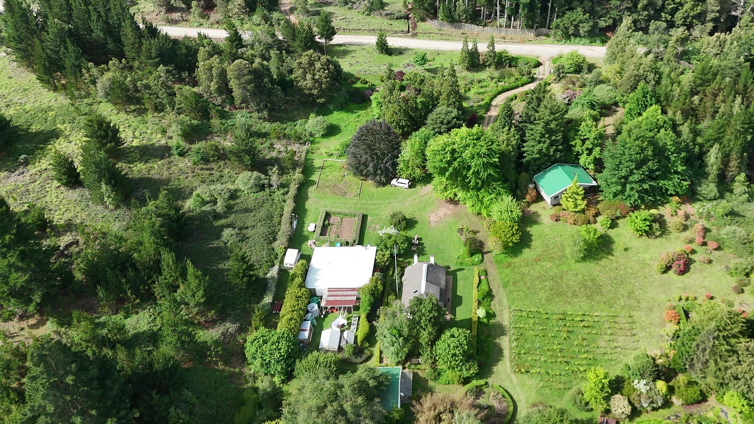 Windrush from the air above Main Road: the gate, the drive winding in past the redwoods to EverGreen Lodge, then De-vine View, the vineyard and The Bird House