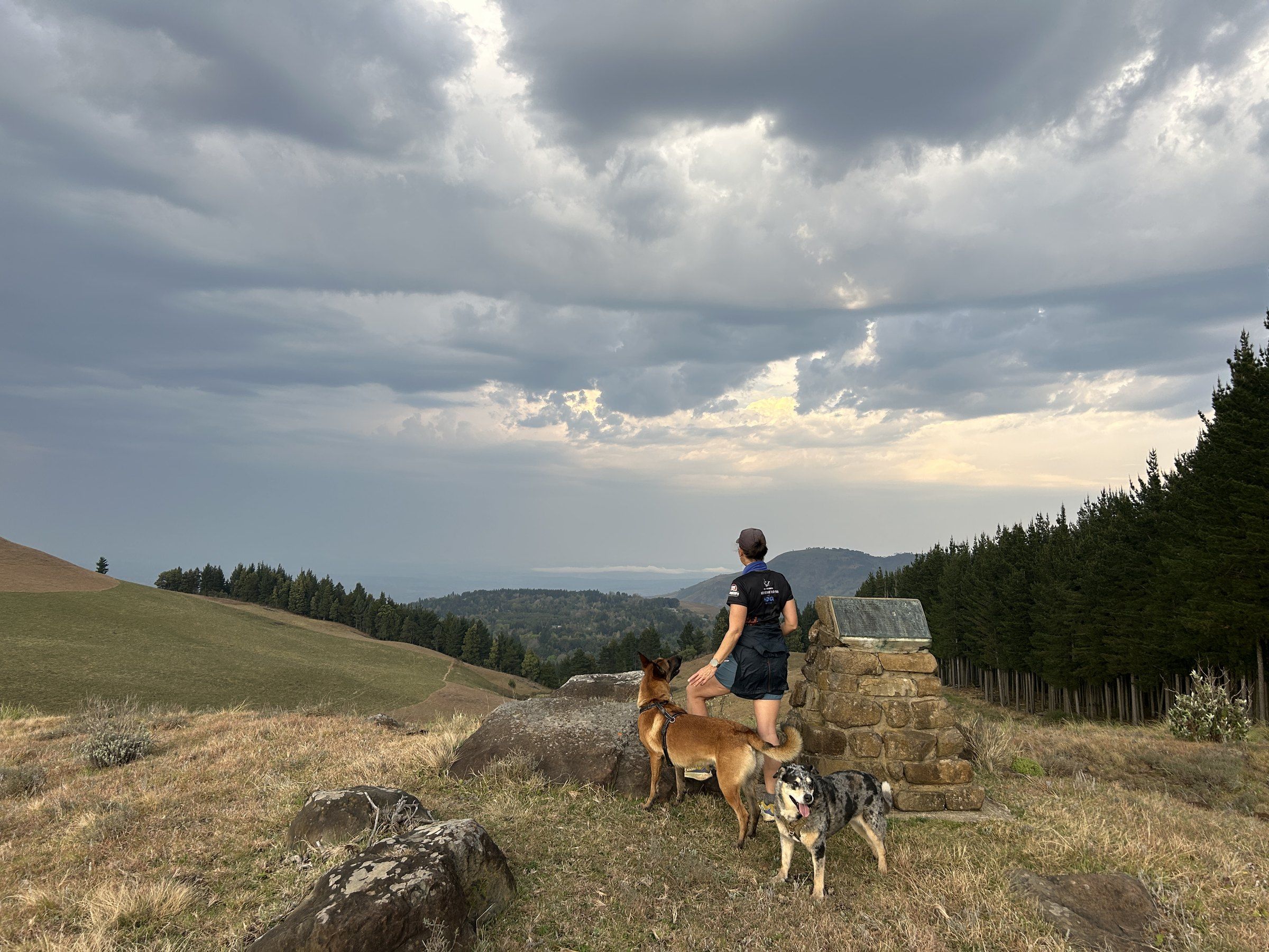 A walker and two dogs beside a stone marker on a hilltop above Hogsback, looking out over pine forest and valleys under a stormy evening sky