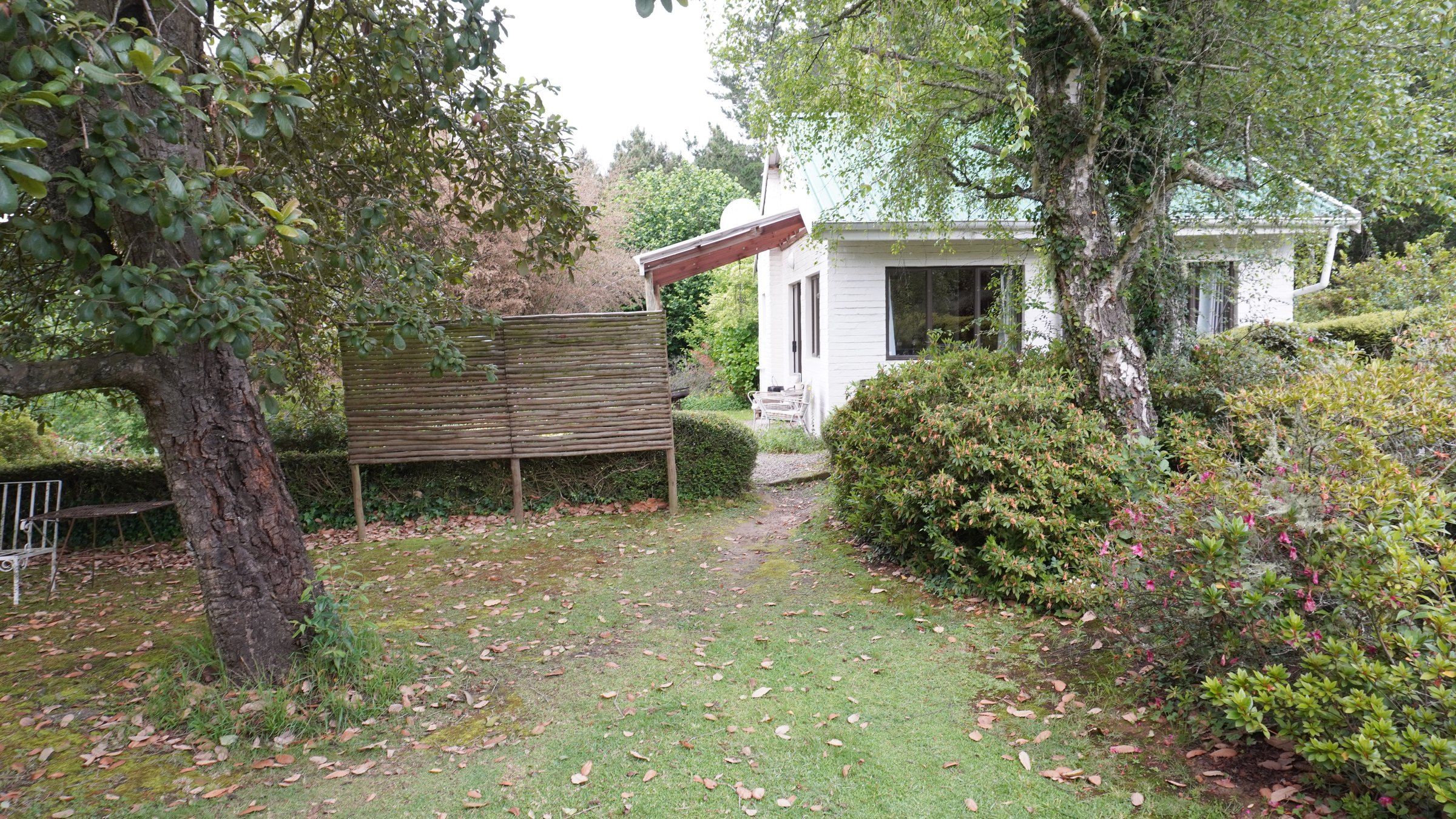 Fruit trees on the lawn beside The Bird House, its white walls and green roof behind