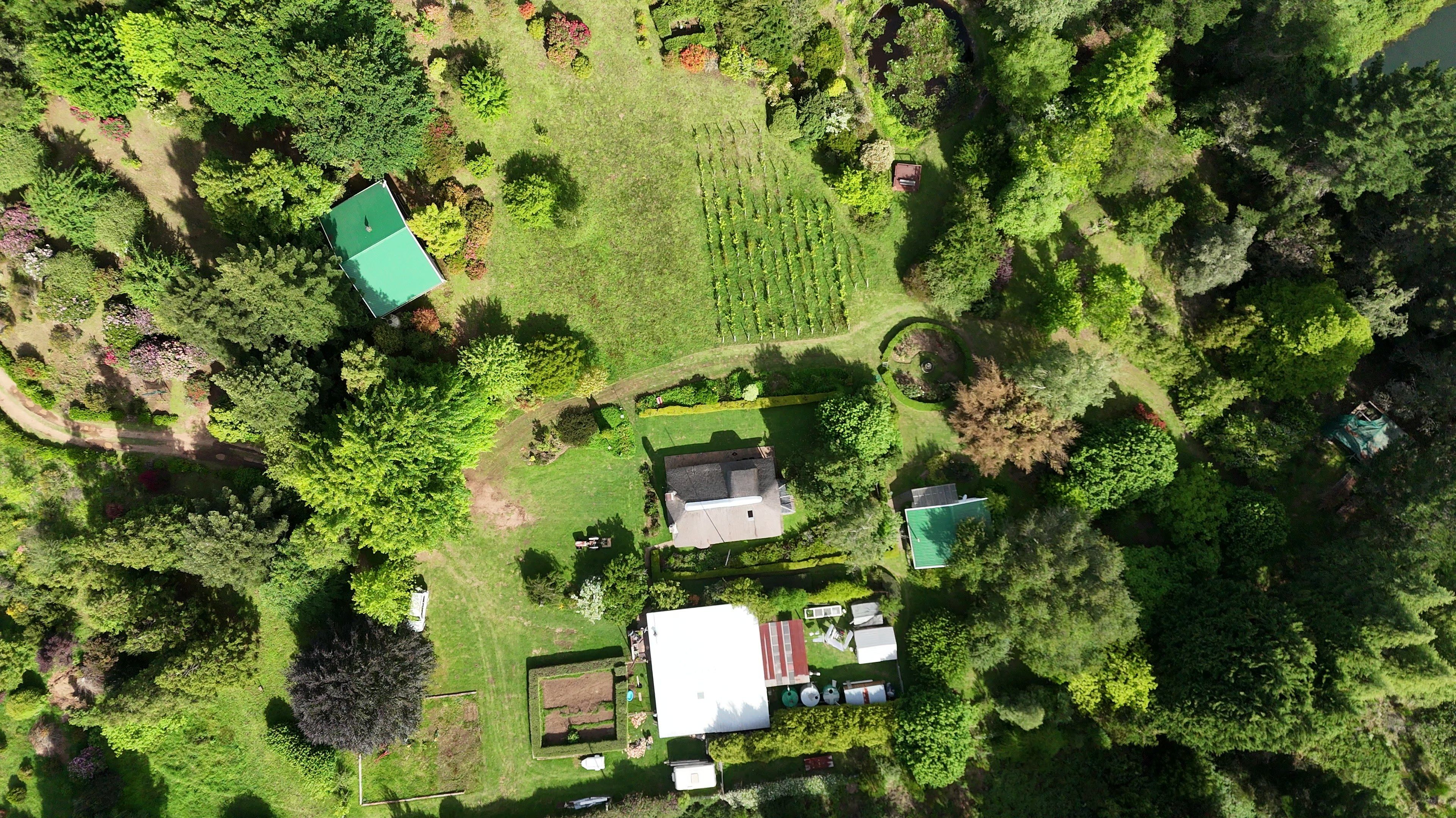 Windrush from 126 metres straight up: the vineyard rows, De-vine View under its thatch, lawns, garden paths and the edge of the dam